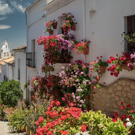 别墅 La Almazara By Vintage Travel